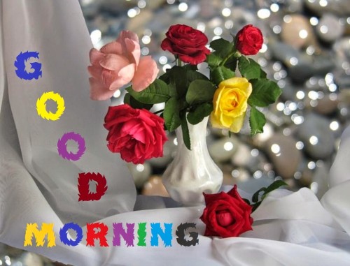 Good Morning Wishes HD Photos Free Download
