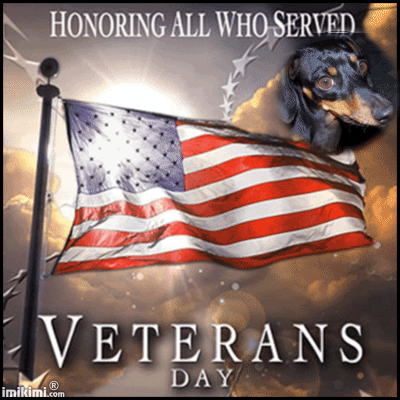 Download Happy Veterans Day Animated & 3D GIF Greeting Card