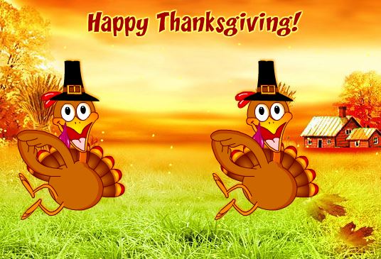 Thanksgiving Day Turkey Fun Cards
