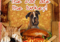 Thanksgiving Day Turkey Fun Cards, Ecards, Images & Picture