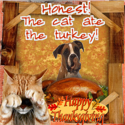 Thanksgiving Day Turkey Fun Images & Picture