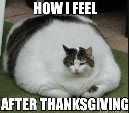 Thanksgiving Memes Images 2016
