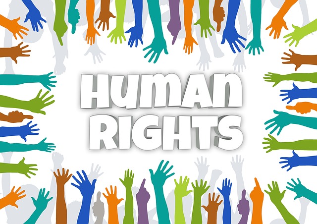 Human Rights Day WhatsApp Dp