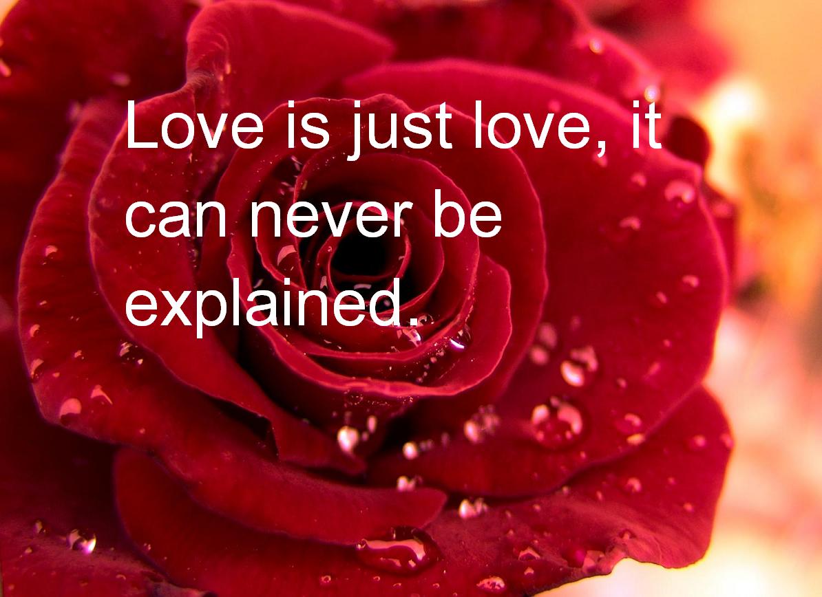 Amazing Happy Valentines Day 2024 Quotes