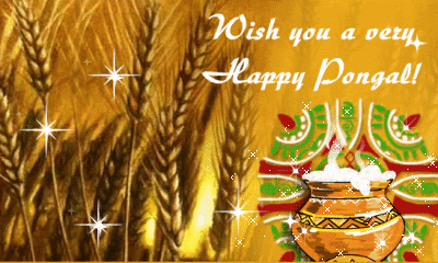Best}* Happy Pongal 2022 Festival GIF & Animated 3D Image For WhatsApp