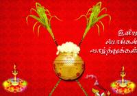 Happy Pongal 2017 Wishes, SMS & Text Messages in Tamil, English & Hindi