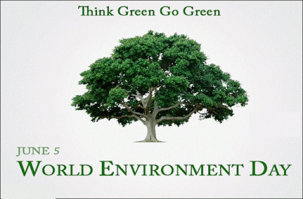 World Environment Day 2017 HD Pics