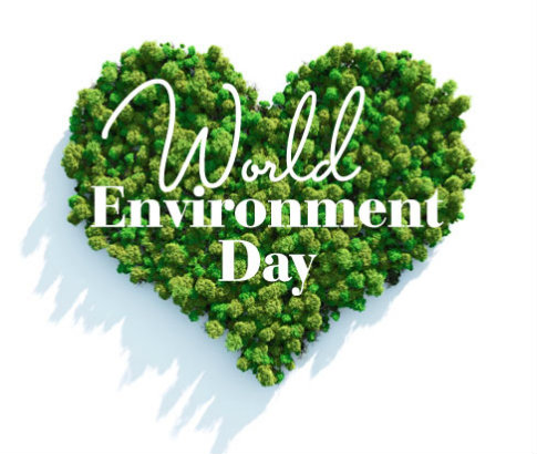 World Environment Day 2017 Images for Whatsapp