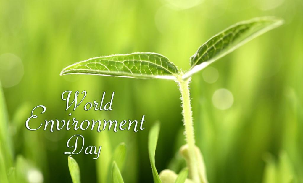 World Environment Day 2017 Wallpaper free download