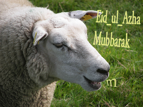 Bakra Eid Animated GIF Images