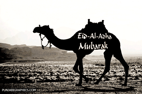 Eid al-Adha GIF Animated for WhatsApp